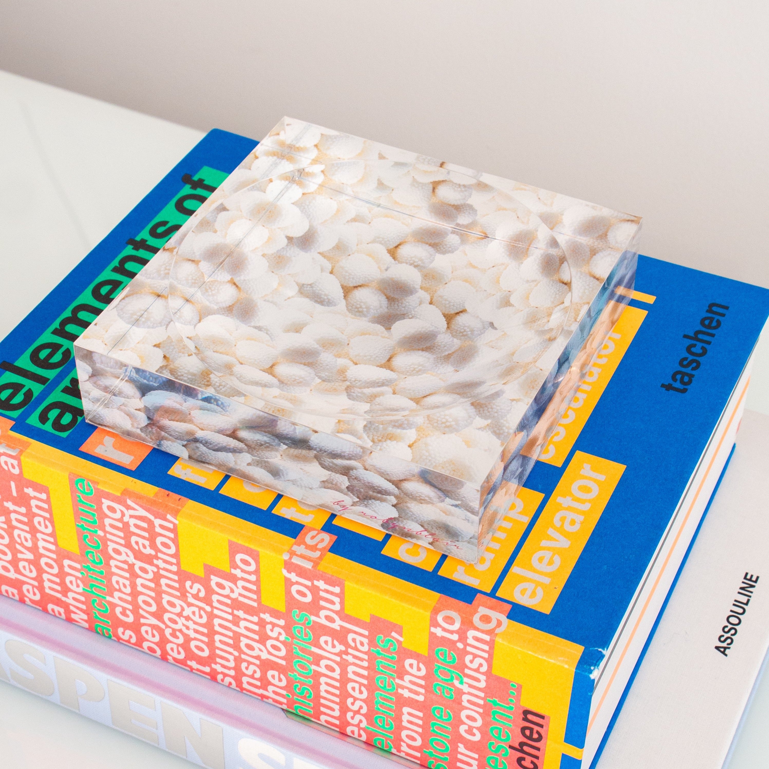 White Sugar Mountain