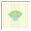 Gelato Stripe Shell