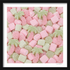 Sugared Paradise
