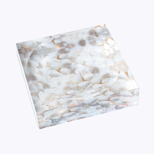 White Sugar Mountain